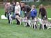 BIS Avelsgrupp Starax Kennel