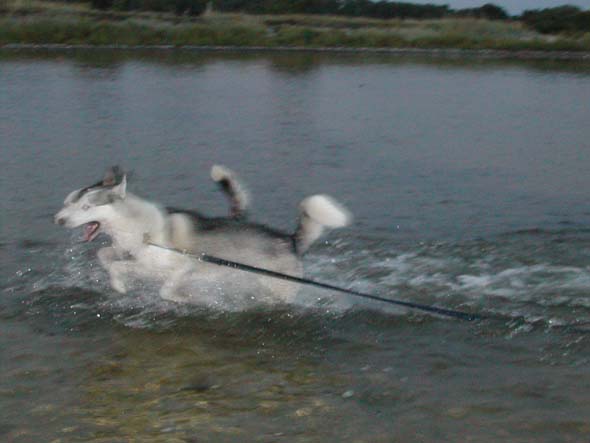 noomi & argus full fart!