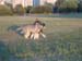 DSCN0898
