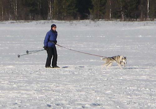 IMG_0029 Mari Lilja med Matic