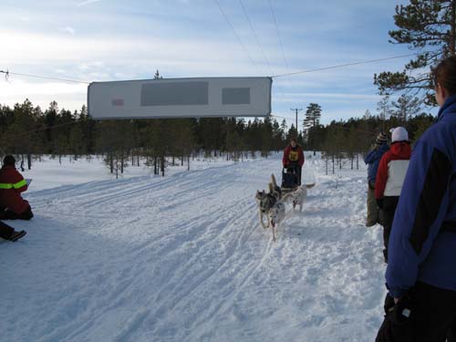 IMG_0061 Pernilla Gereflod