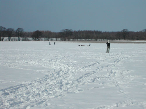 DSCN9492