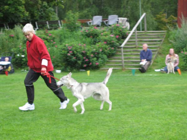 IMG_0038