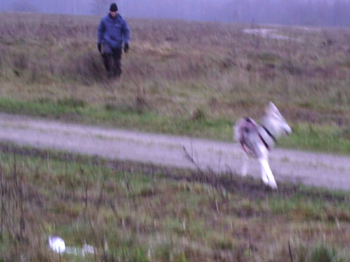 PIC00032
