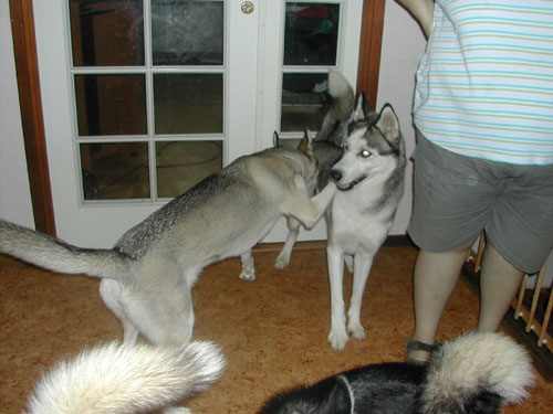 DSCN0976