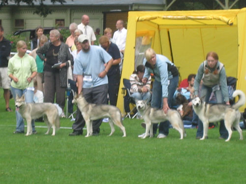 ronneby internationella aug 06 097