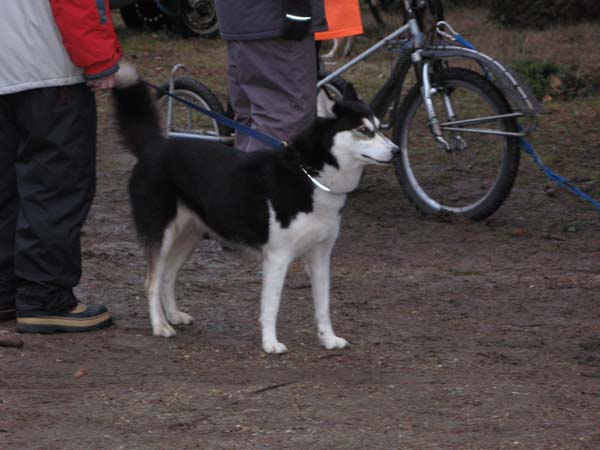 IMG_0730