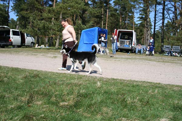 Bild 896