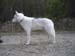 DSCN0552