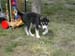 DSCN0635