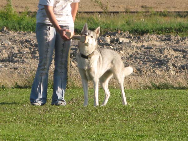 IMG_0148